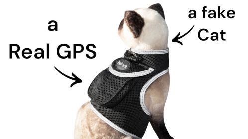 Hunting Made Easy w/ NEW Pet Tracker GPS Tracking Collars for Hunting Dogs Size:XXL